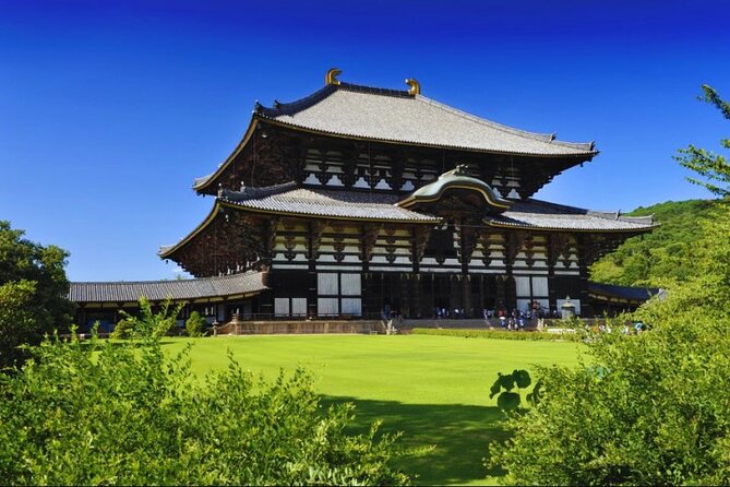 Nara, Todaiji Temple & Kuroshio Market Day BUS Tour from Osaka - Kuroshio Market: tuna theatre, seafood shopping, and cash reality