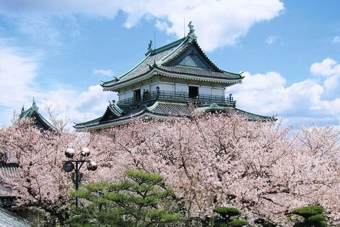 Nara, Todaiji Temple & Kuroshio Market Day BUS Tour from Osaka - Nara sika deer: quick joy before the big temple complex