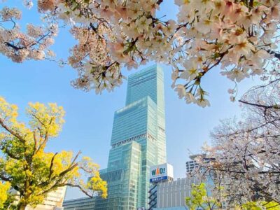 Osaka: Abeno Harukas 300 Observatory E-Ticket - Should you book the Abeno Harukas 300 Observatory ticket?