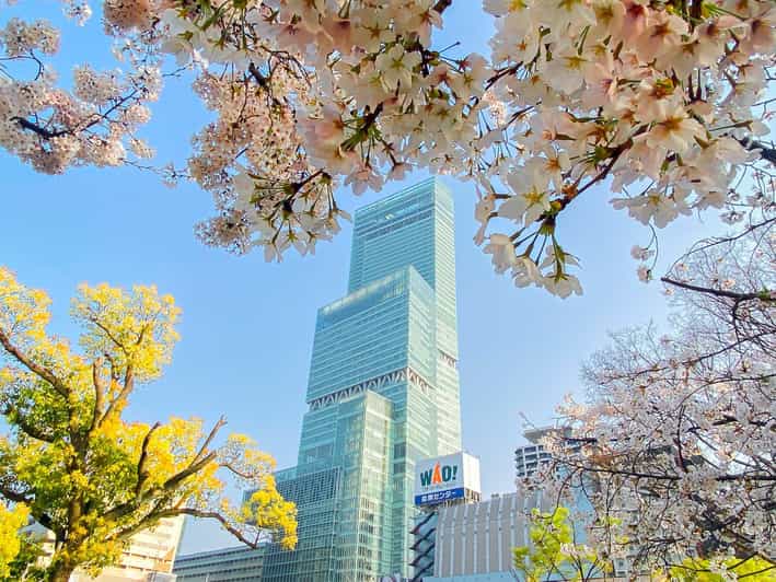 Osaka: Abeno Harukas 300 Observatory E-Ticket - Should you book the Abeno Harukas 300 Observatory ticket?