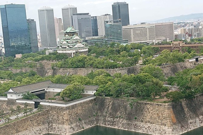 Osaka Castle & Dotonbori Lively One-Day Walking Tour - Key points worth knowing