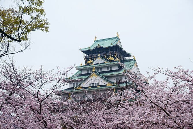 Osaka Castle & Samurai History Walking Tour - Key Points Before You Go