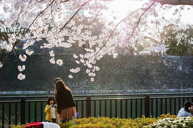 Osaka Castle & Samurai History Walking Tour - Why Osaka Castle Works Best as a Guided Walk
