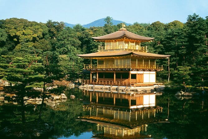 Osaka Castle & Samurai History Walking Tour - Price and Value: What $22 Gets You in 3 Hours