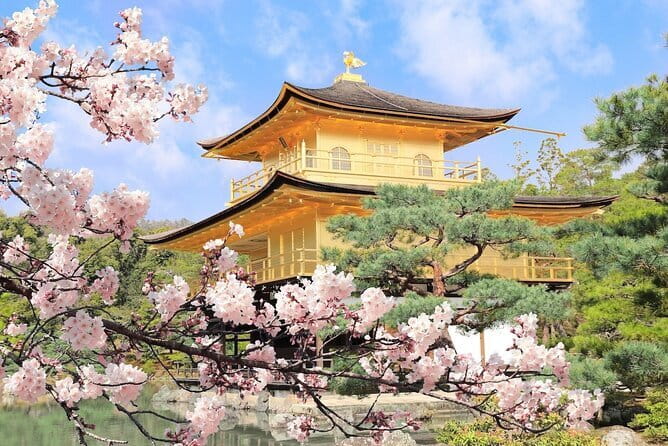 Osaka Castle & Samurai History Walking Tour - Meeting Point and Route Reality: Start Fast, Walk Steady