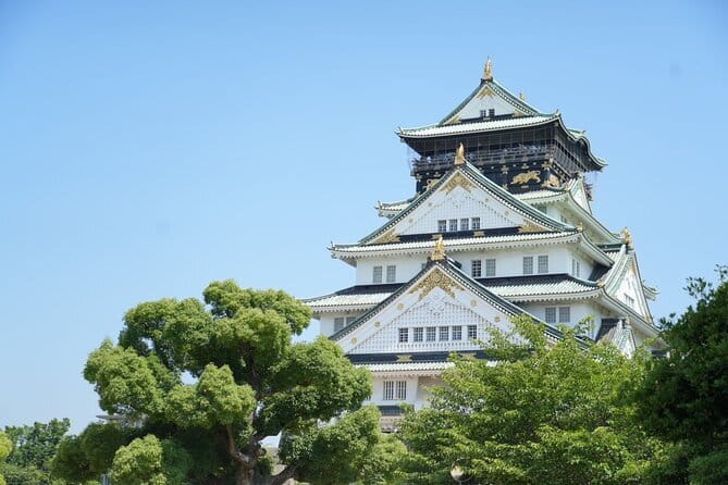 Osaka Castle Walking Tour - Your English-Speaking Guide: Q&A, Pace, and Photo Tips