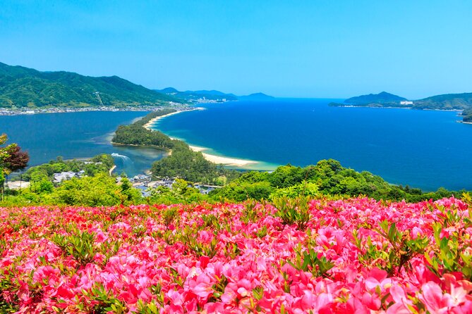 Osaka Day Tour: Amanohashidate & Ine Bay - Key things you’ll remember