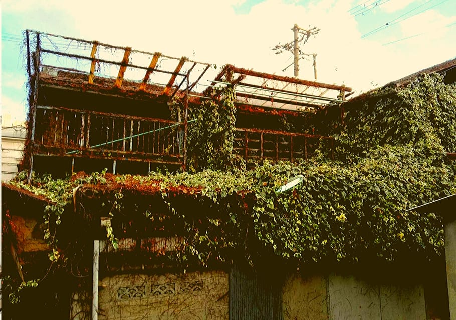 Osaka: Deep Backstreets Walking Tour with Dinner Option - Key Points at a Glance