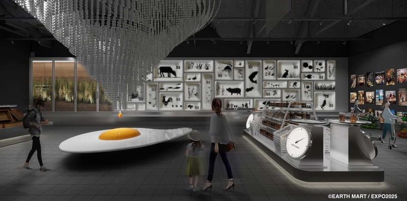 Osaka: Expo 2025 Admission Ticket - Who this admission ticket fits (and who should rethink it)