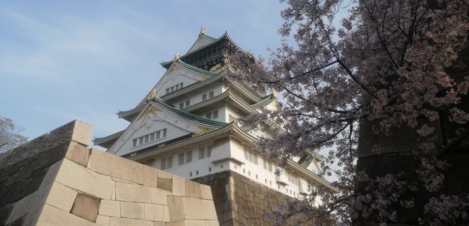 Osaka: Five Must-See Highlights Walking Tour & Ramen Lunch - Key Highlights You’ll Actually Feel