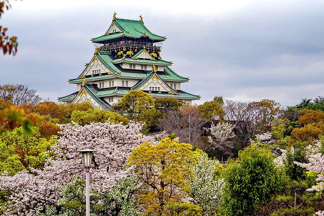 Osaka Full Day Walking Tour with Local Expert Guide - Price and logistics: what you pay for (and what you’ll need to pay extra)