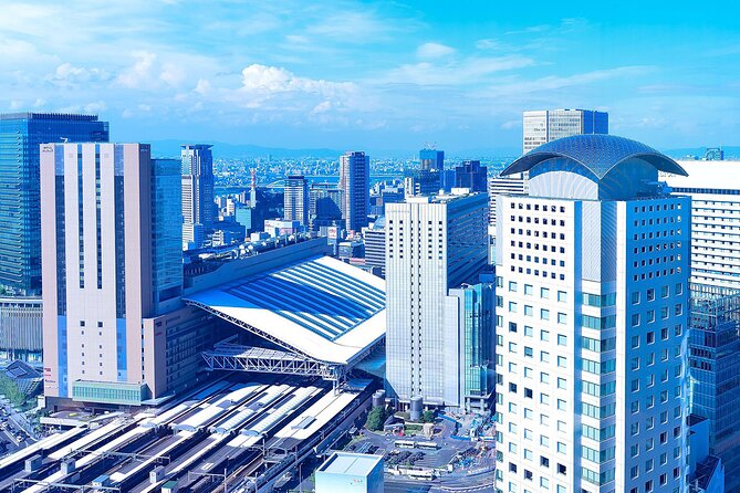 Osaka Full Day Walking Tour with Local Expert Guide - Comfort, pacing, and who this suits best
