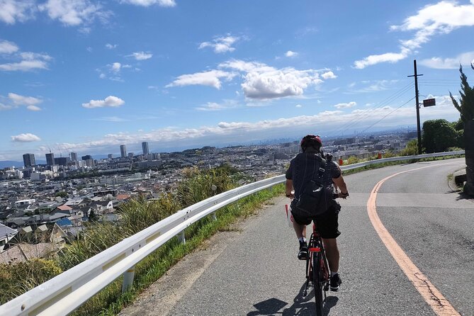 Osaka Half-day E-bike Adventure: Minoh Falls & Katsuoji Temple - Key points to know before you go