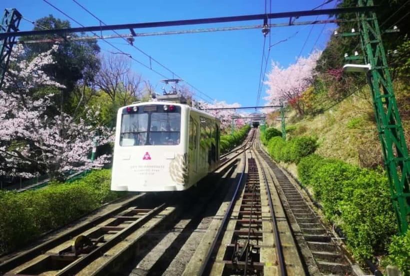 Osaka/Kyoto: Amanohashidate & Miyama Tour with Boat & Lunch - Making peace with a long day: timing and how to manage it