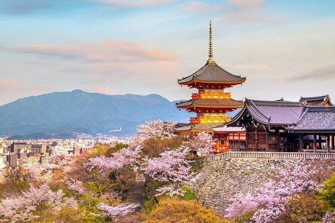 Osaka & Kyoto & Nara Top Hightlights English Speaking Tour - Key points to know before you go
