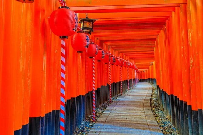 Osaka & Kyoto & Nara Top Hightlights English Speaking Tour - A value-packed day trip from Osaka to Kyoto and Nara