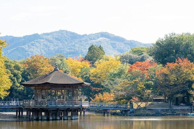 Osaka & Kyoto & Nara Top Hightlights English Speaking Tour - Stop 4: Todaiji Temple’s Great Buddha—short visit, big impression