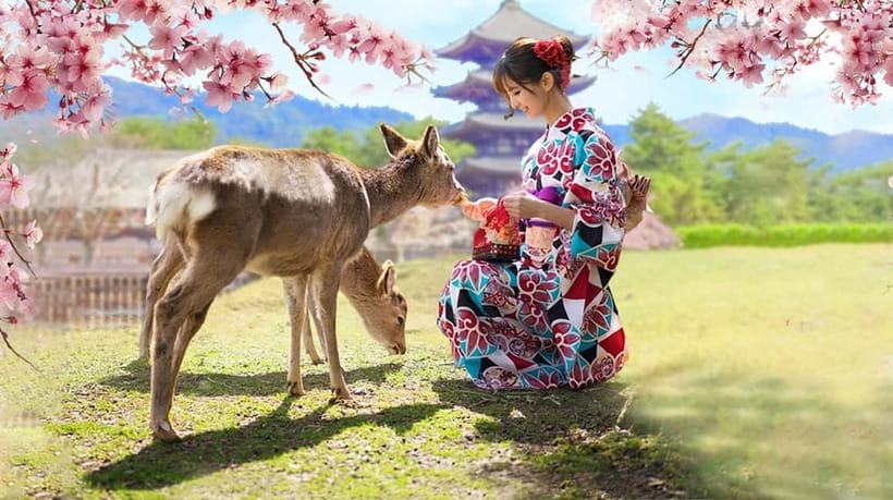 Osaka: Kyoto & Nara & Uji Historical and Scenic One-Day Tour - Your Guide Matters: Humor, Detail, and Simple Group Control