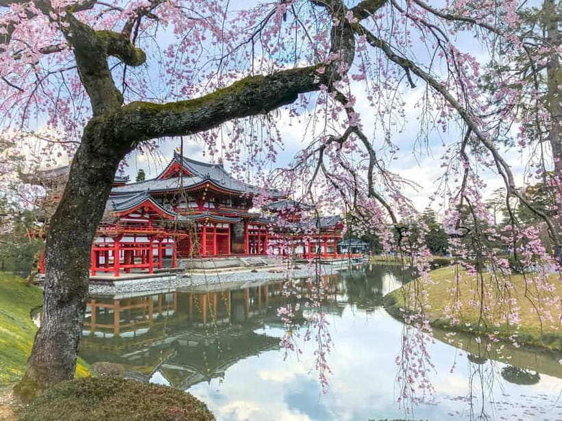 Osaka: Kyoto & Nara & Uji Historical and Scenic One-Day Tour - Tōdai-ji Temple: The Bronze Buddha Moment You’ll Remember
