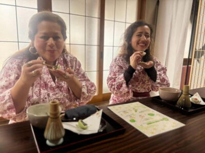 Osaka: Mind & Spirit Balance Temple Reiki Healing - Reiki Non-Contact Healing: How to Think About It