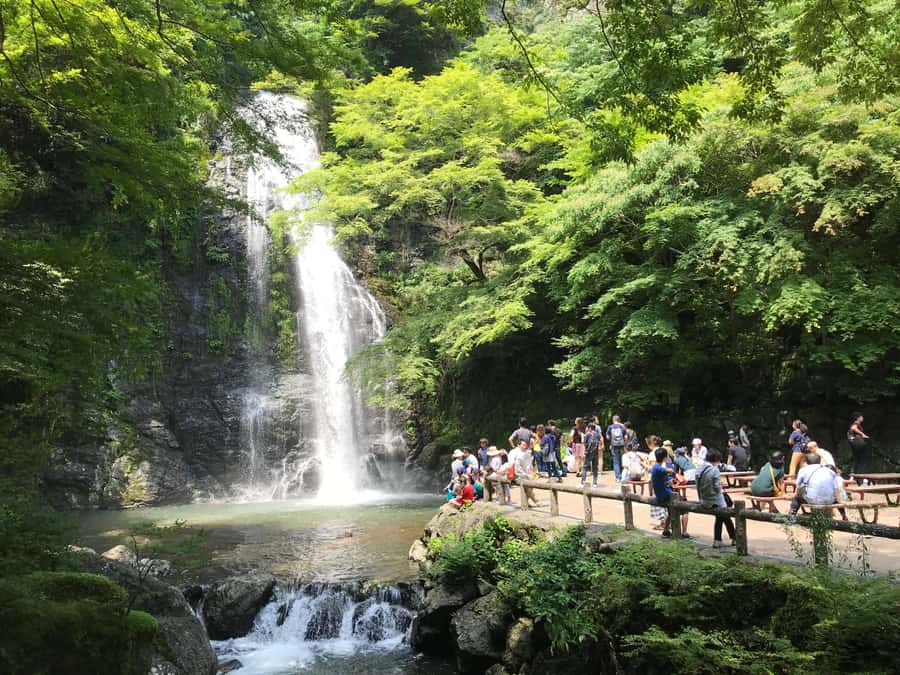 Osaka: Mino Forest Walk and Giant Waterfall with Local Lunch - The cultural part: riverside paths, temple vibes, and seasonal snacks