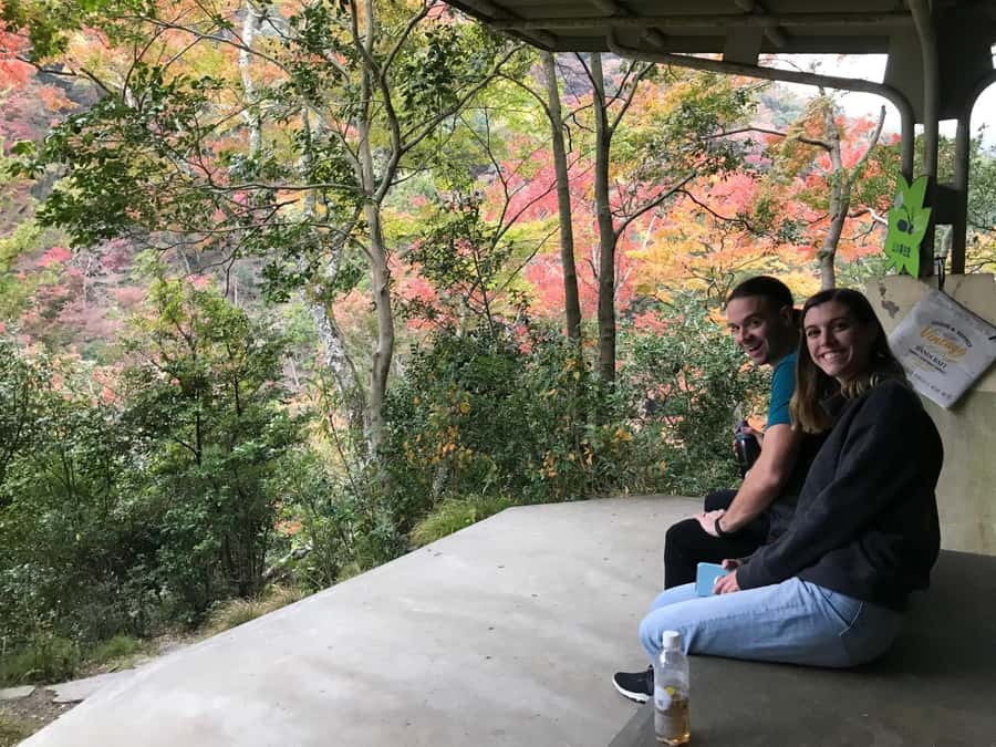 Osaka: Mino Forest Walk and Giant Waterfall with Local Lunch - Lunch at a local restaurant: real flavors, not a rushed stop