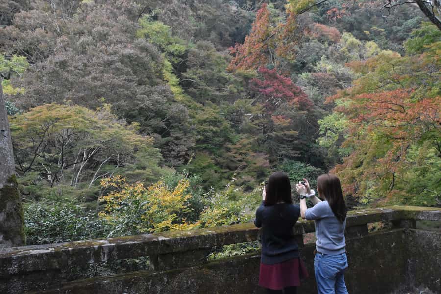 Osaka: Mino Forest Walk and Giant Waterfall with Local Lunch - Drinks and snack timing: yuzu cider, craft beer, and shared bites
