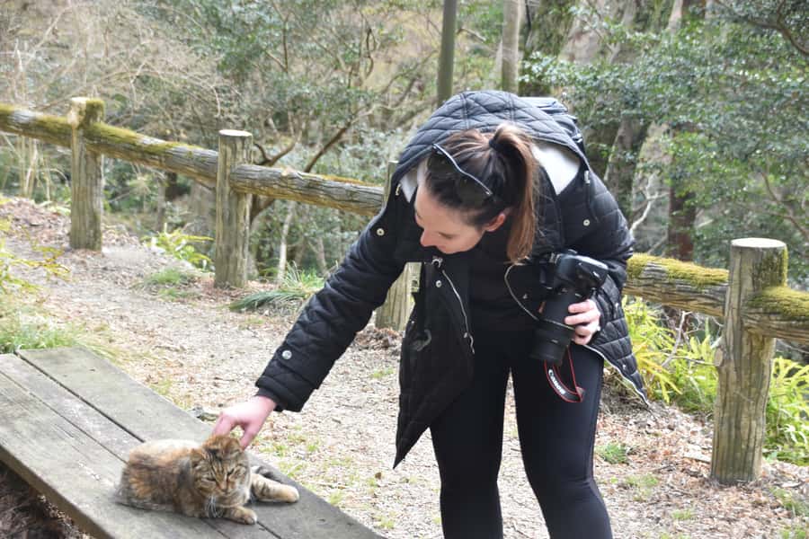 Osaka: Mino Forest Walk and Giant Waterfall with Local Lunch - Who this tour suits best (and who should think twice)