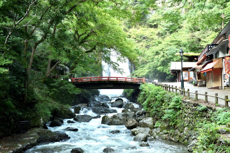 Osaka: Minoh, Katsuoji Temple, & Minoh Falls Full-day Tour - Key highlights that make this Osaka-to-Minoh trip worth it