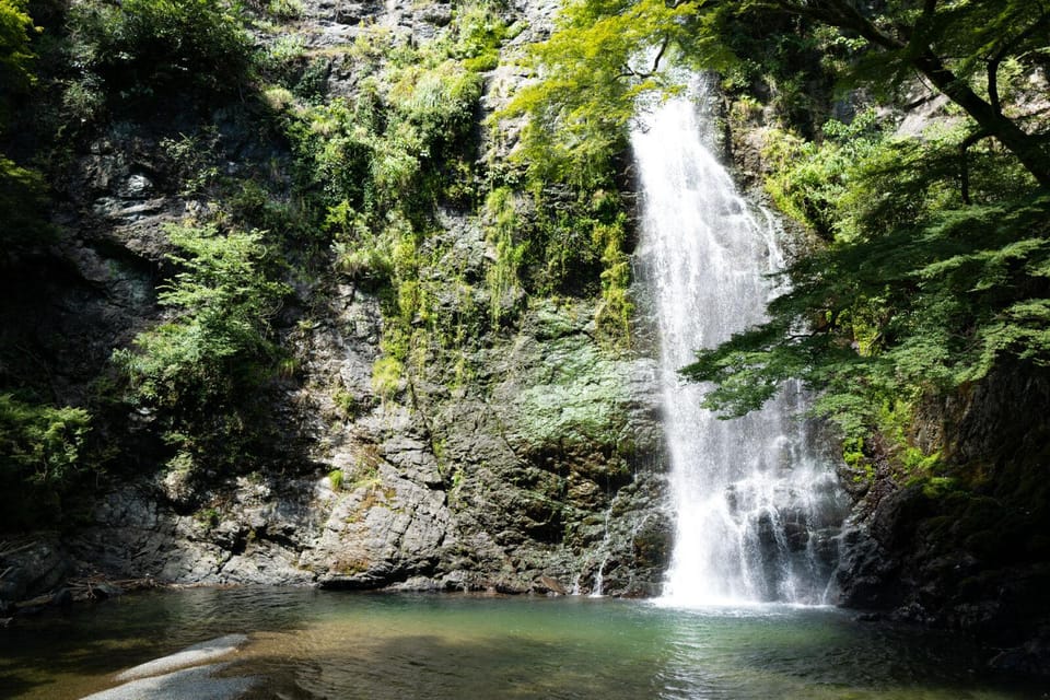Osaka: Minoh, Katsuoji Temple, & Minoh Falls Full-day Tour - Price and value: why $135 can make sense for Osaka day trips