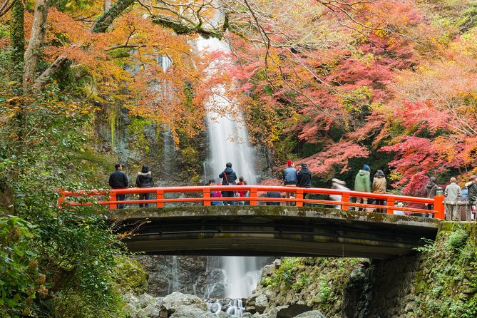 Osaka Private Food Tours by Local Foodies: 100% Personalized - Price and Value: Why $186.57 Can Feel Fair