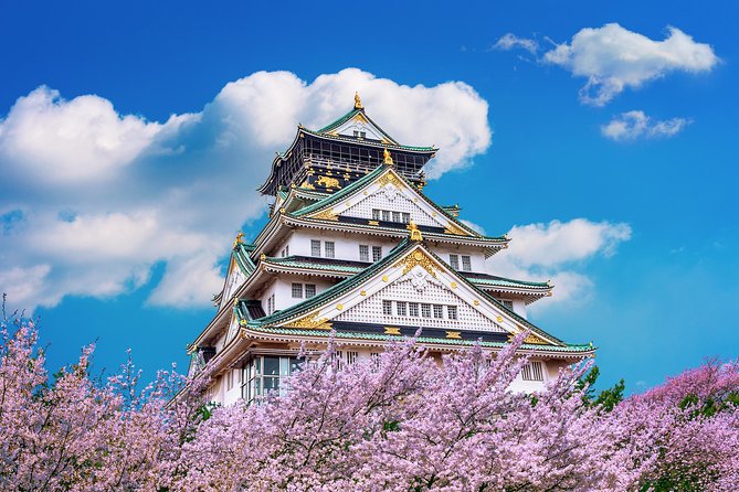 Osaka Private Food Tours by Local Foodies: 100% Personalized - Who This Tour Suits Best (and Who Might Not Love It)
