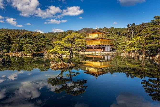Osaka Private Tour with a Local Guide (Must See Places in 1 Day) - Osaka Castle Grounds: Big Photos, Easy Storytelling