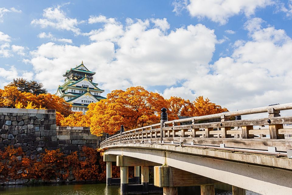 Osaka Private Tour with Government-Licensed Guide - How the tour stays moving: public transit plus taxi