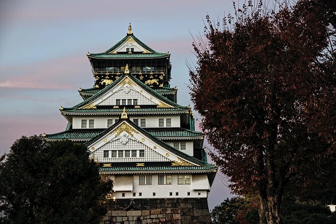 Osaka Private Walking Tour with a Local - Food and drinks: guided choices, not a prepaid meal
