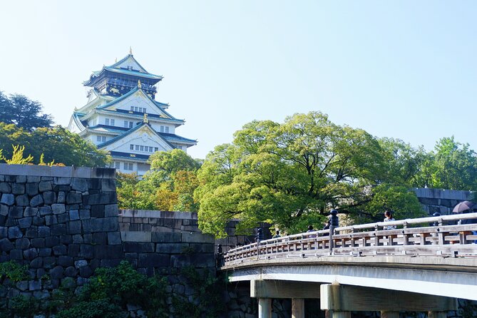 Osaka Private Walking Tour with a Local - Language and guide fit: your success depends on clear requests