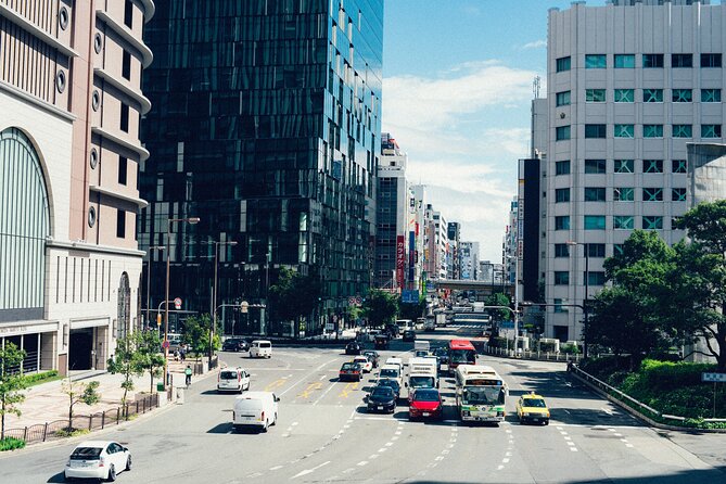 Osaka Private Walking Tour with a Local - Price and logistics: $55 for a private local, and what it really buys