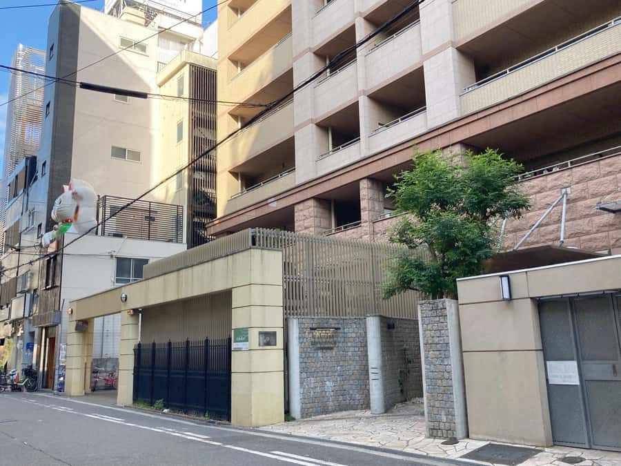 Osaka: Ramen and Gyoza Cooking Class in Dotonbori - Building Soy-Sauce Ramen Broth From Scratch (and Why the Base Matters)