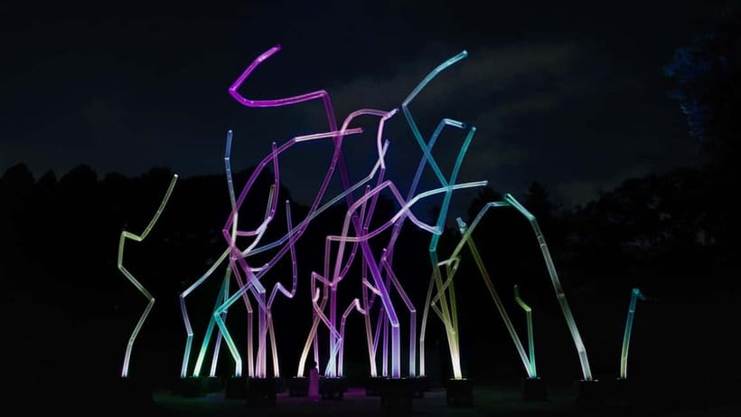 Osaka: teamLab Botanical Garden Entry Ticket - Key Points Before You Go