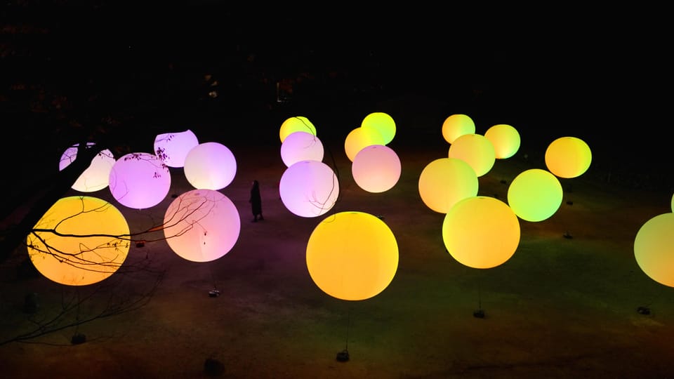 Osaka: teamLab Botanical Garden Entry Ticket - Who Should Book This Ticket (and Who Might Not Love It)