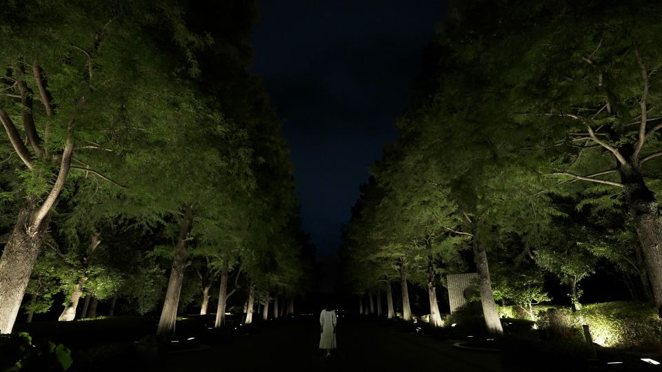 Osaka: teamLab Botanical Garden Entry Ticket - A Botanical Garden That Becomes a Night Art World