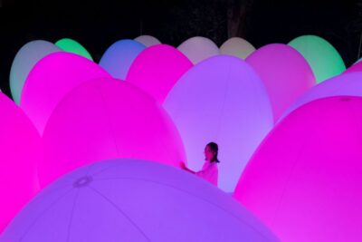 Osaka: teamLab Botanical Garden Entry Ticket - Your One-Day Flow: Daytime Plants, Nighttime Light-and-Sound