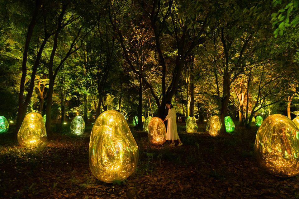 Osaka: teamLab Botanical Garden Entry Ticket - Nighttime teamLab: Light Spectacles That React to Nature and Visitors