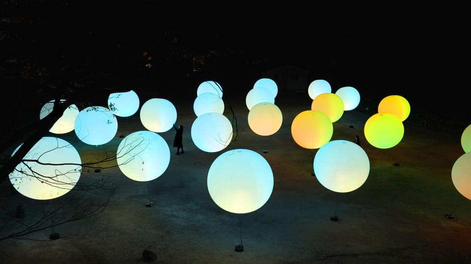Osaka: teamLab Botanical Garden Entry Ticket - Timing: When to Arrive So It Feels Relaxing Instead of Chaotic