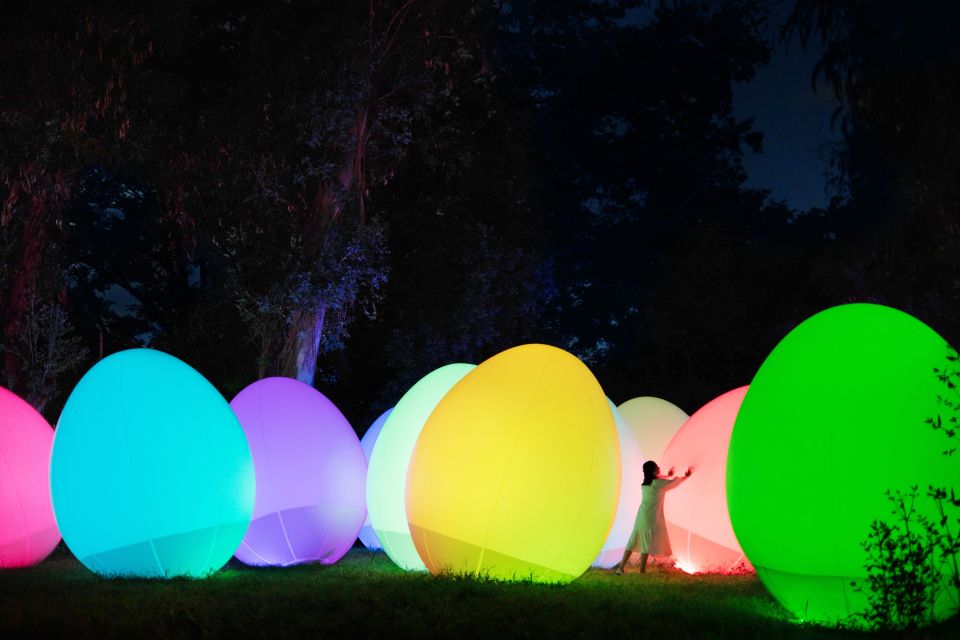 Osaka: teamLab Botanical Garden Entry Ticket - Value Check: Is the $11 Ticket Worth It?
