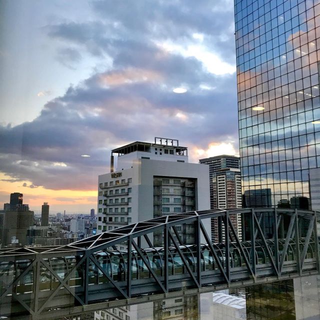 Osaka: Umeda Sky Building Official E-Ticket - Ticket reality: the e-ticket helps, but elevators still take time