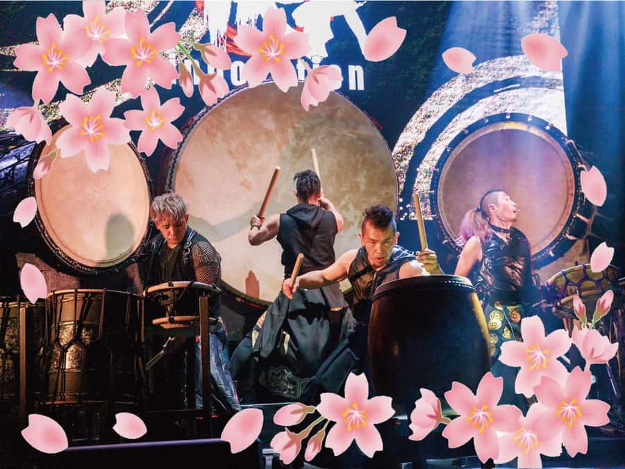 Osaka: UTAGE Japanese Taiko Live Show - Key things that make UTAGE worth your time