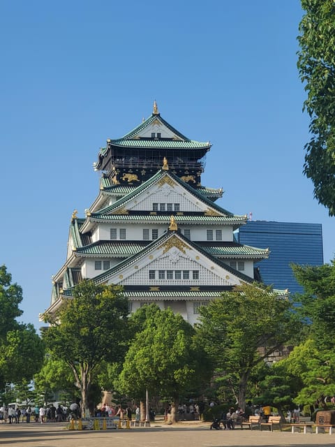 Osaka: Walking Tour and Top Highlights - Key moments that make this tour click