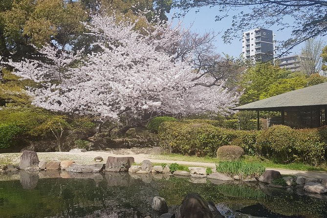 Osaka’s Best and Brightest: Private Full-Day Tour by Vehicle - Tennoji and Abeno Harukas: lunch + a serious skyline payoff
