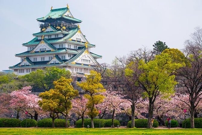 PRIVATE 6hr, Food tour from Osaka Castle, Kuromon, Dotonbori. - How the Private Route Works From Morinomiya Station to Dotonbori